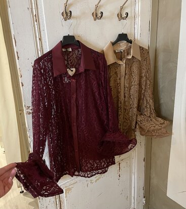 Lara Lace blouse bordeaux