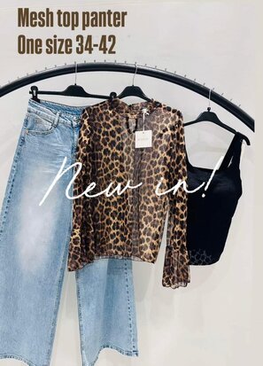 Mesh leopard top