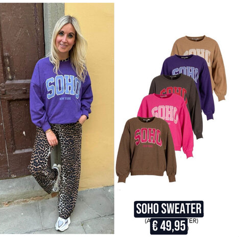 SOHO sweater bruin