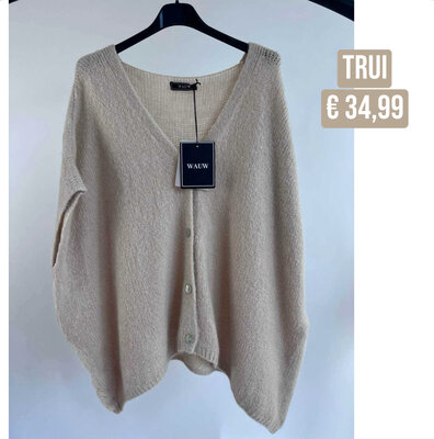 Eva soft sweater - taupe