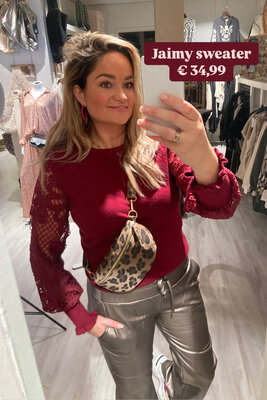 Jaimy sweater - bordeaux